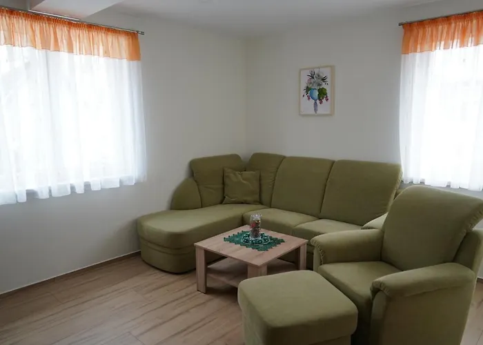 Apartment 4 Sterne Ferienwohnung Sorbitztal inklusive Gästekarte Rohrbach (Thuringia)